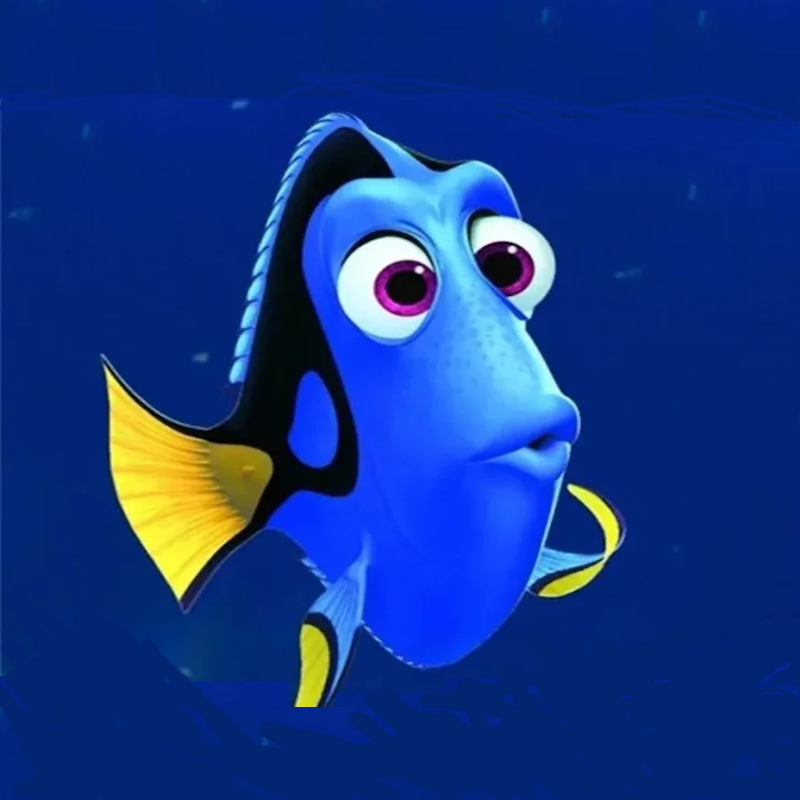 Loving Dory with a Nami Melumad Soundtrack